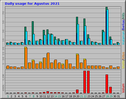 Daily usage for Agustus 2021