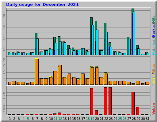 Daily usage for Desember 2021