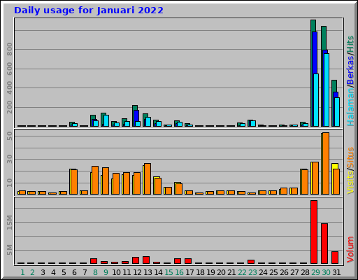 Daily usage for Januari 2022