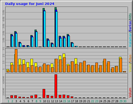 Daily usage for Juni 2024 Daily usage for Juni 2024