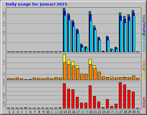 Daily usage for Januari 2025 Daily usage for Januari 2025