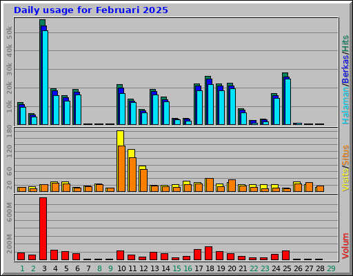 Daily usage for Februari 2025