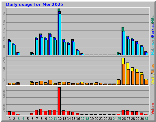 Daily usage for Mei 2025