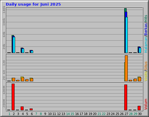 Daily usage for Juni 2025