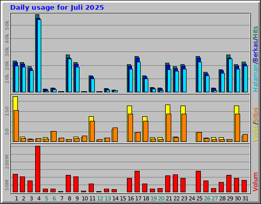 Daily usage for Juli 2025