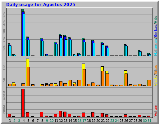 Daily usage for Agustus 2025