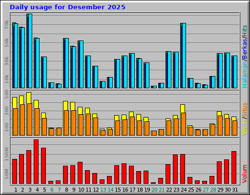 Daily usage for Desember 2025