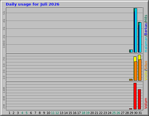 Daily usage for Juli 2026