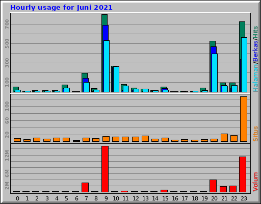 Hourly usage for Juni 2021 Hourly usage for Juni 2021