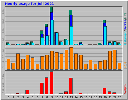 Hourly usage for Juli 2021 Hourly usage for Juli 2021