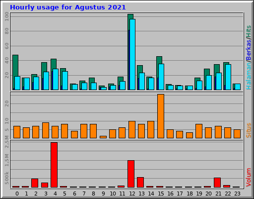 Hourly usage for Agustus 2021