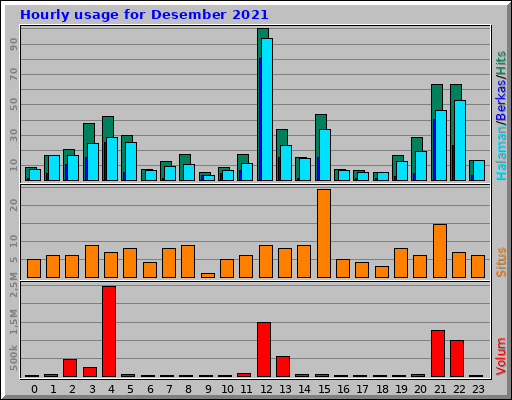 Hourly usage for Desember 2021