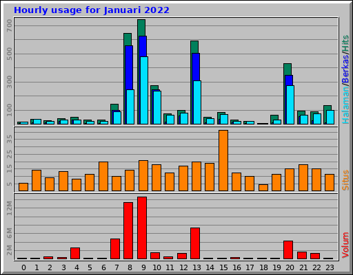 Hourly usage for Januari 2022
