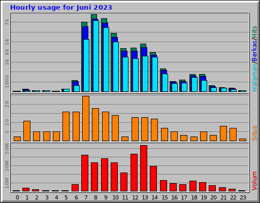 Hourly usage for Juni 2023