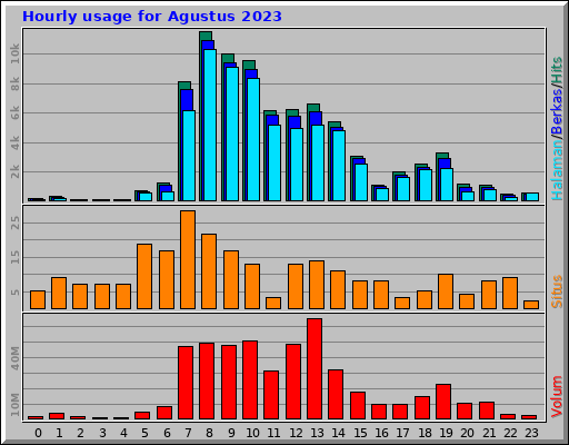 Hourly usage for Agustus 2023