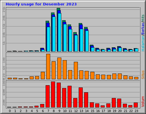Hourly usage for Desember 2023