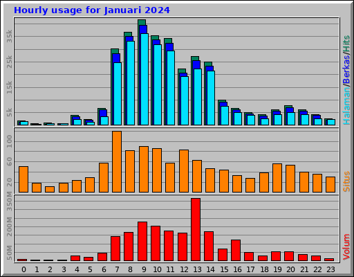 Hourly usage for Januari 2024 Hourly usage for Januari 2024