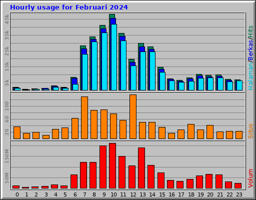 Hourly usage for Februari 2024 Hourly usage for Februari 2024