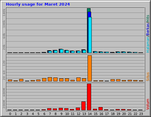 Hourly usage for Maret 2024 Hourly usage for Maret 2024
