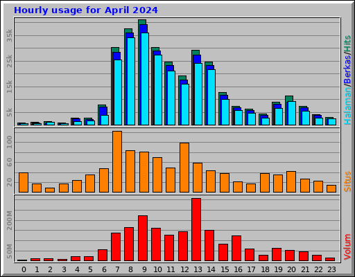 Hourly usage for April 2024