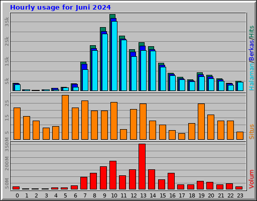 Hourly usage for Juni 2024 Hourly usage for Juni 2024