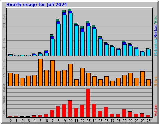 Hourly usage for Juli 2024 Hourly usage for Juli 2024
