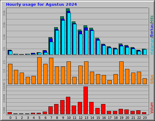 Hourly usage for Agustus 2024 Hourly usage for Agustus 2024