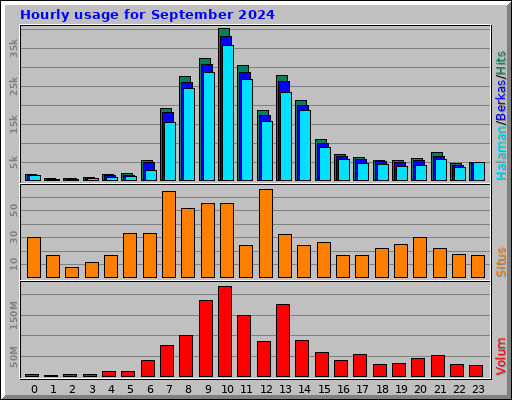 Hourly usage for September 2024 Hourly usage for September 2024