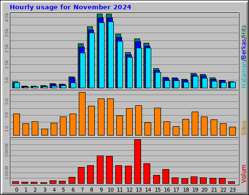 Hourly usage for November 2024