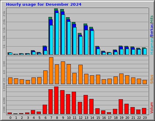 Hourly usage for Desember 2024