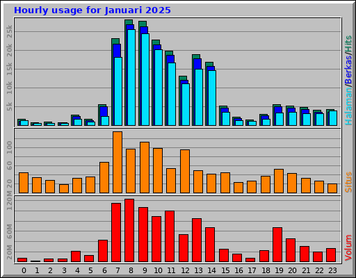 Hourly usage for Januari 2025 Hourly usage for Januari 2025
