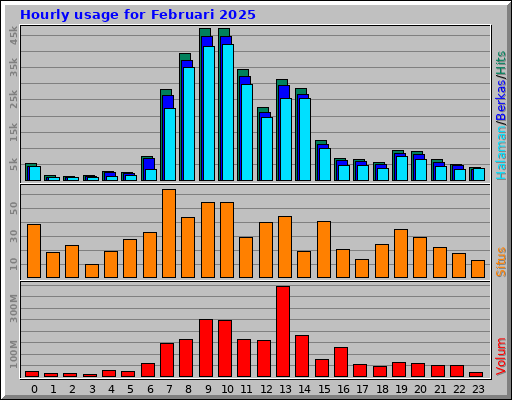 Hourly usage for Februari 2025