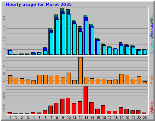 Hourly usage for Maret 2025