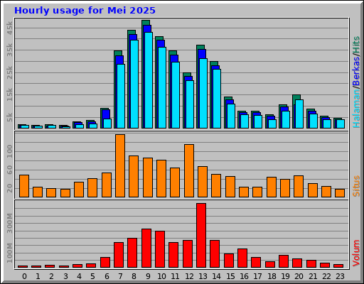 Hourly usage for Mei 2025