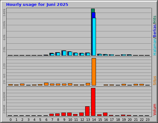 Hourly usage for Juni 2025