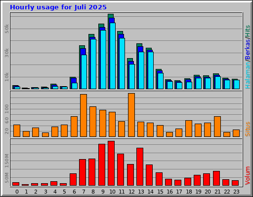 Hourly usage for Juli 2025