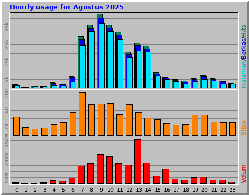 Hourly usage for Agustus 2025