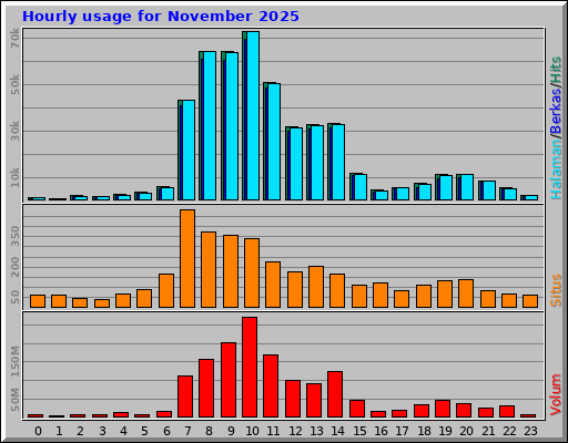 Hourly usage for November 2025