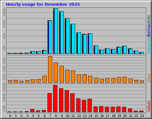 Hourly usage for Desember 2025