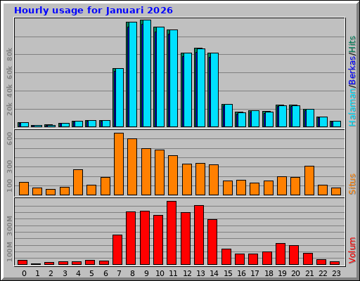 Hourly usage for Januari 2026 Hourly usage for Januari 2026
