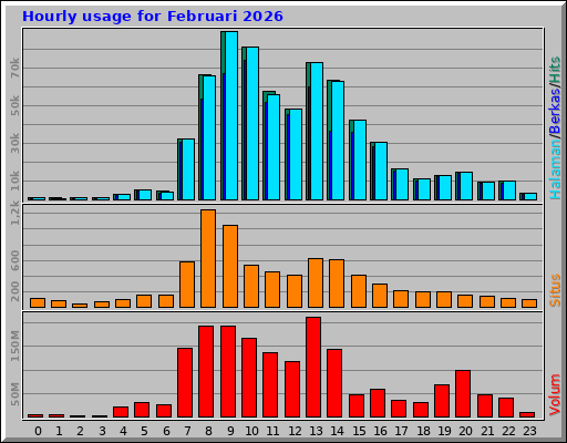 Hourly usage for Februari 2026