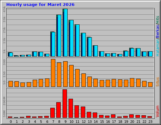 Hourly usage for Maret 2026 Hourly usage for Maret 2026