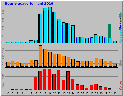 Hourly usage for Juni 2026 Hourly usage for Juni 2026