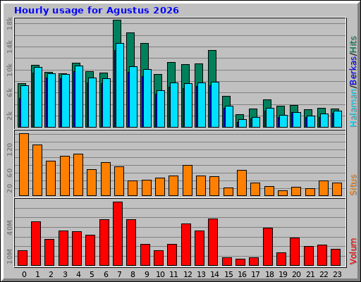 Hourly usage for Agustus 2026 Hourly usage for Agustus 2026